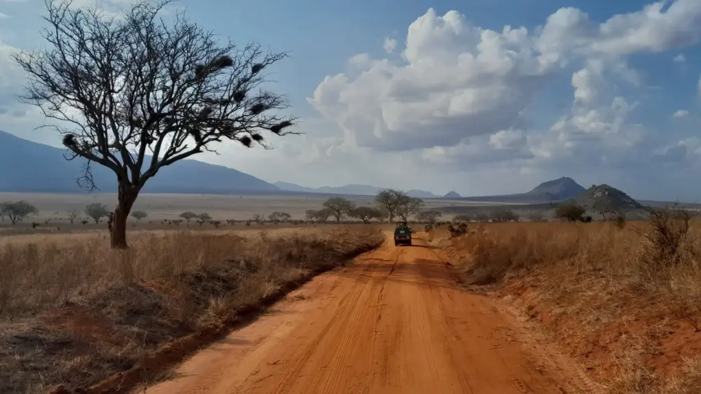 Circuit KENYA: Safari si relaxare pe plaja 27 Octombrie - 07 Noiembrie 2026