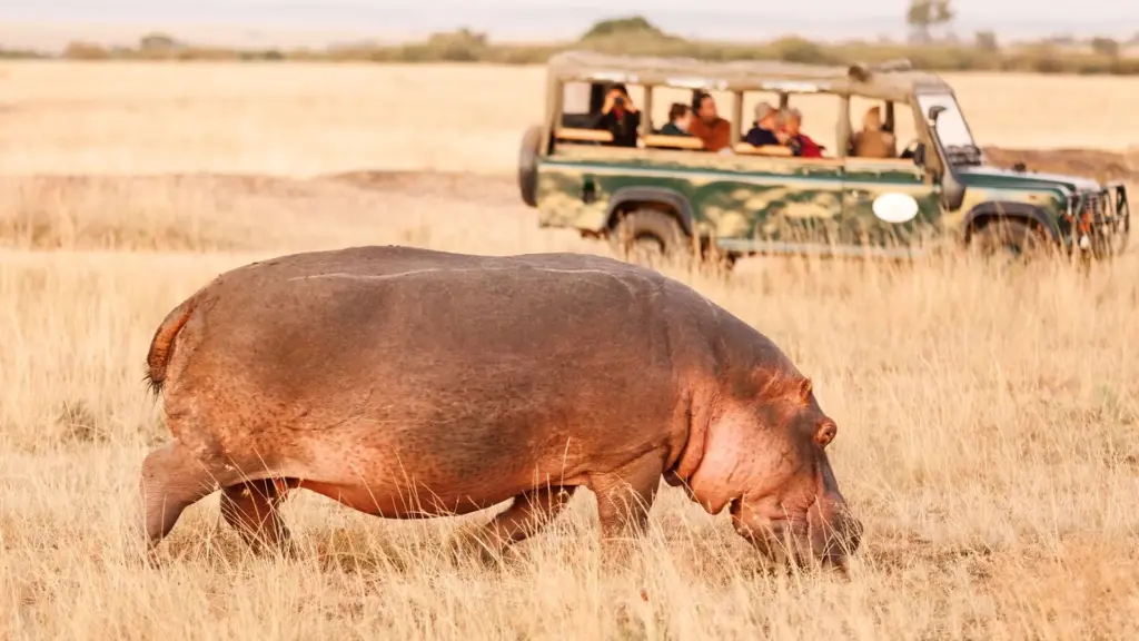 Circuit KENYA: Safari si relaxare pe plaja 27 Octombrie - 07 Noiembrie 2026