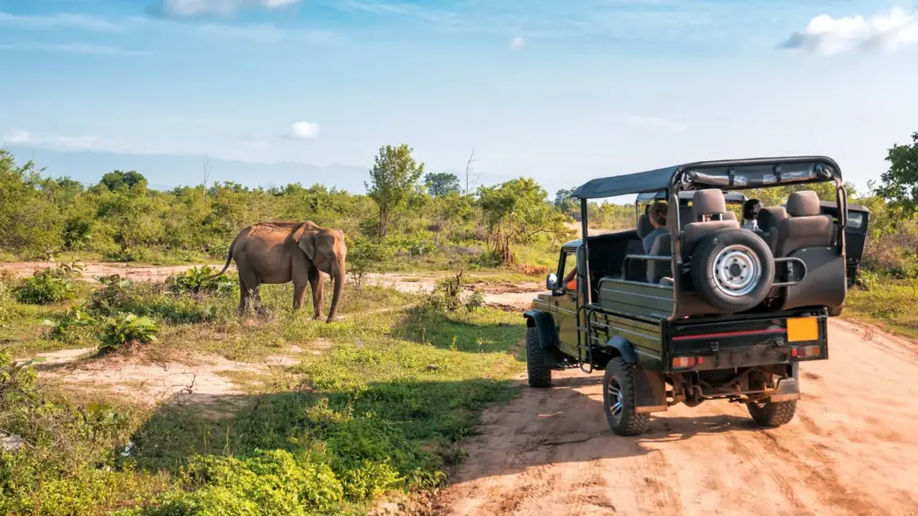 Circuit SRI LANKA & MALDIVE: Traditii sacre si paradis tropical 21 Noiembrie - 03 Decembrie 2026