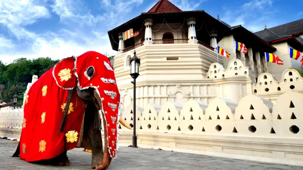 Circuit SRI LANKA & MALDIVE: Traditii sacre si paradis tropical 21 Noiembrie - 03 Decembrie 2026