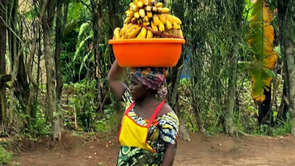 Circuit UGANDA si RWANDA: Aventura in inima Africii de Est 28 Noiembrie-12 Decembrie 2026