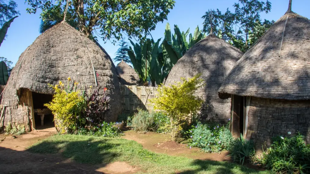 Circuit ETIOPIA: Leaganul Umanitatii 26 Septembrie - 08 Octombrie 2026