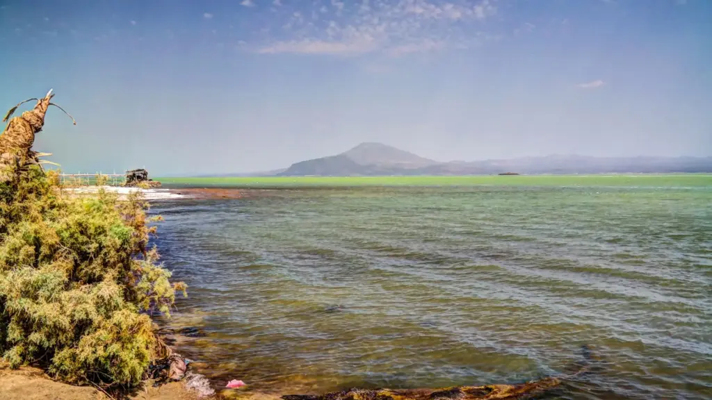 Circuit ETIOPIA: Leaganul Umanitatii 26 Septembrie - 08 Octombrie 2026