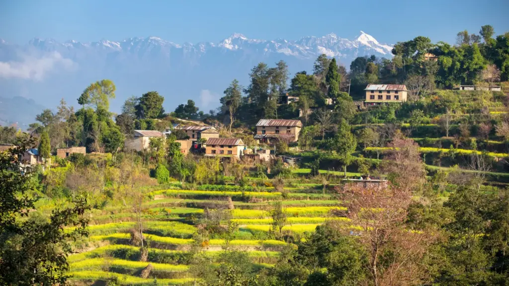 Circuit INDIA, BHUTAN si NEPAL: Circuit pe Taramurile Sacre 10 - 24 Octombrie 2026