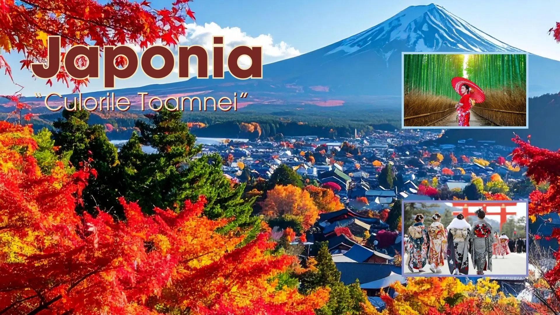 Imagine de prezentare pentru Circuit JAPONIA: Culorile Toamnei