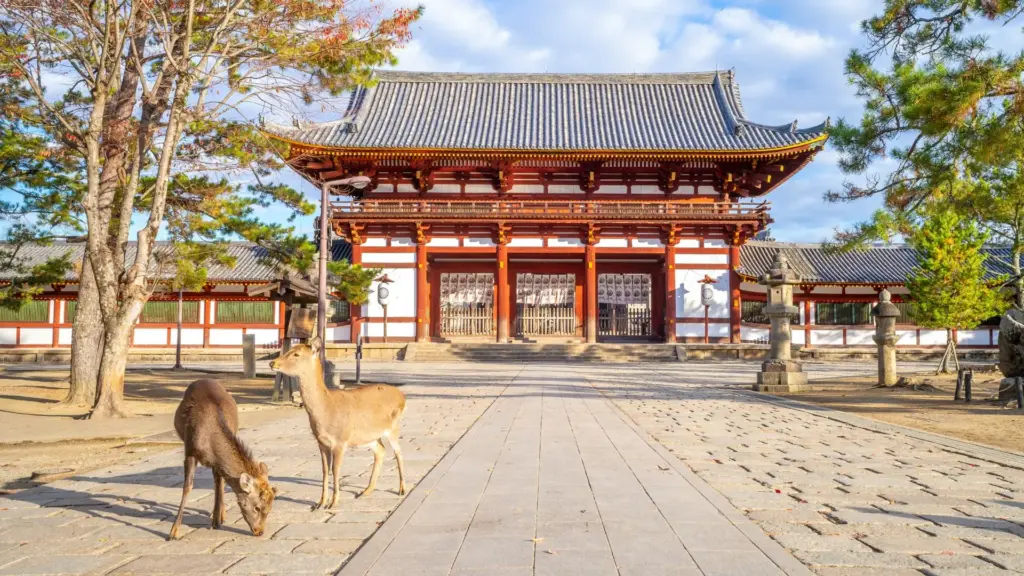 Circuit JAPONIA: Sakura - Simbolul primaverii japoneze 04 - 16 Aprilie 2027