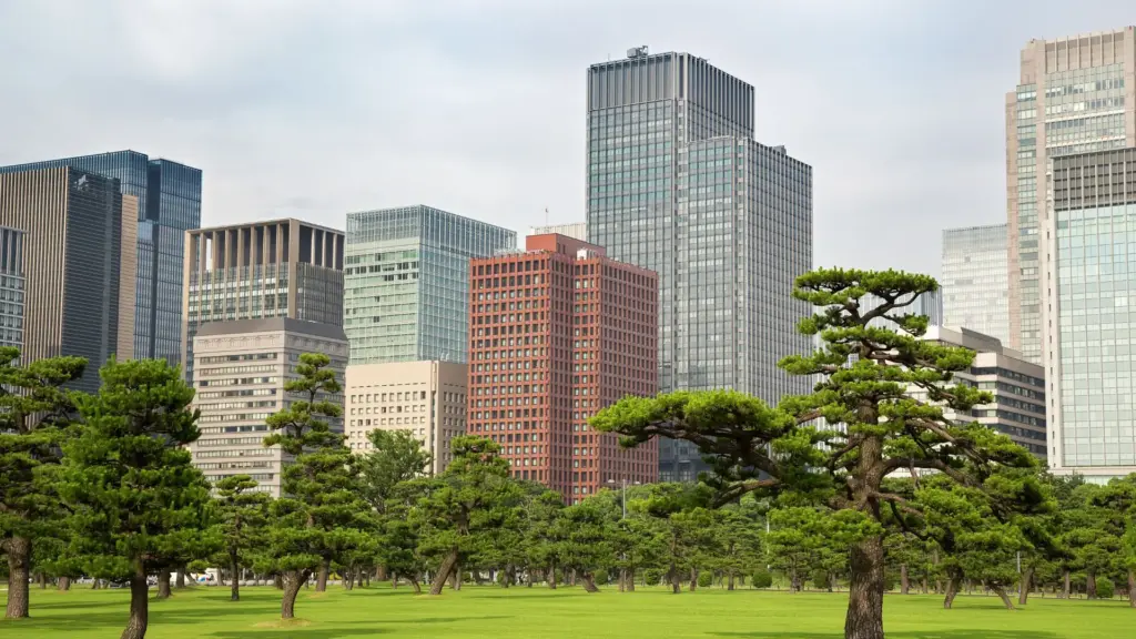 Circuit JAPONIA: Sakura - Simbolul primaverii japoneze 04 - 16 Aprilie 2027