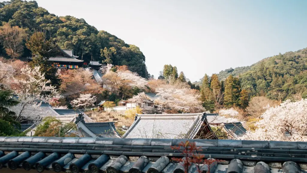 Circuit JAPONIA: Sakura - Simbolul primaverii japoneze 04 - 16 Aprilie 2027