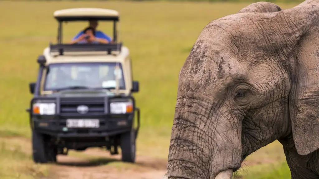 Circuit KENYA: Safari si relaxare pe plaja 10-21 August 2026