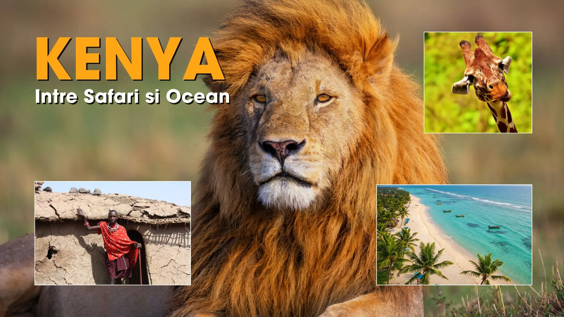 Imagine de prezentare pentru Circuit KENYA: Safari și relaxare pe plajă