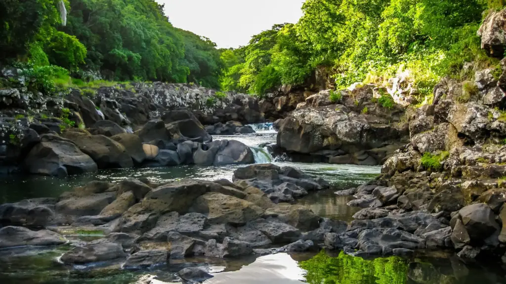 Sejur MAURITIUS: Evadeaza in Paradis 22 August-01 Septembrie 2026