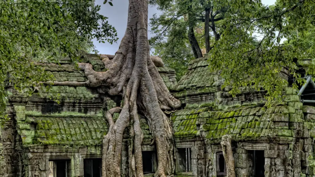 Circuit INDOCHINA: Vietnam Cambodgia Laos si Thailanda 17 Noiembrie – 5 Decembrie 2026