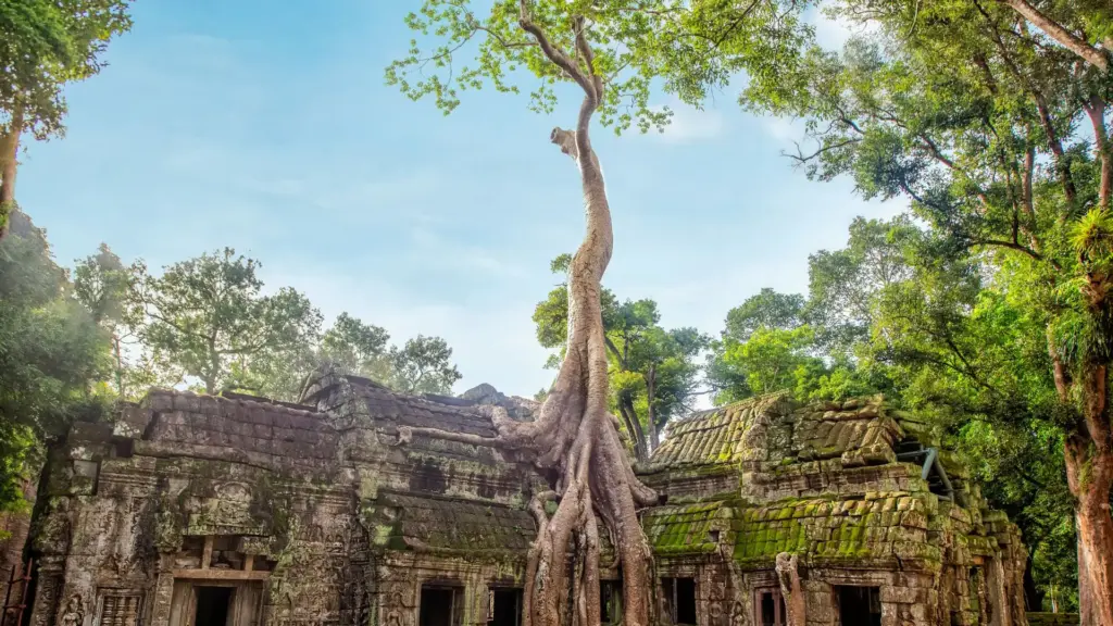 Circuit INDOCHINA: Vietnam Cambodgia Laos si Thailanda 17 Noiembrie – 5 Decembrie 2026