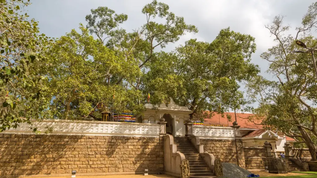 Circuit SRI LANKA: Lacrima din Oceanul Indian 17 - 27 Martie 2027
