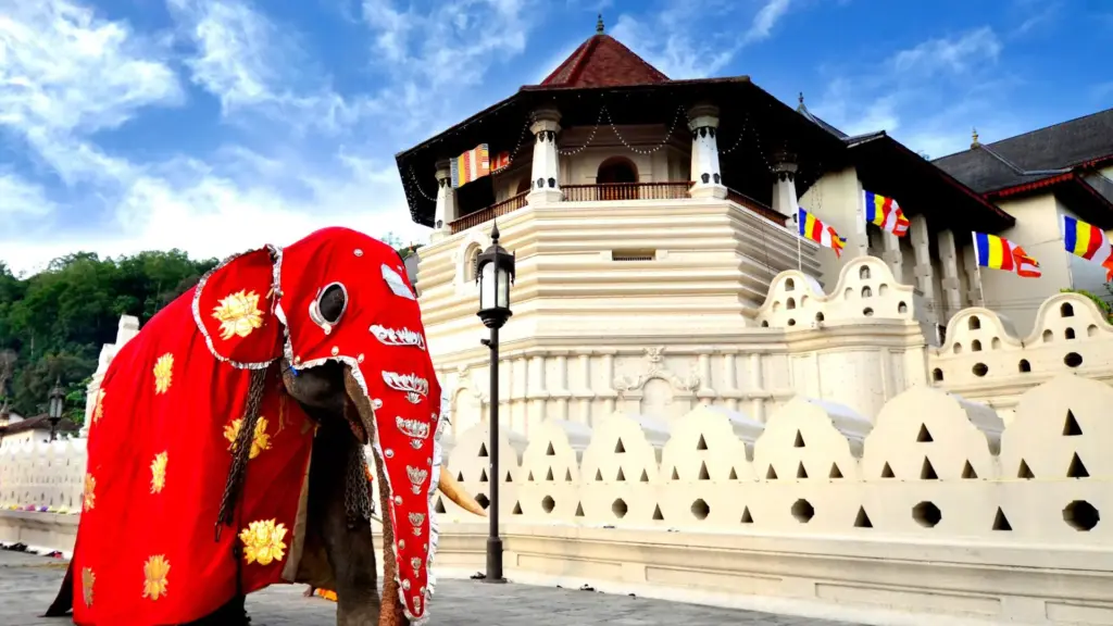 Circuit SRI LANKA: Lacrima din Oceanul Indian 17 - 27 Martie 2027