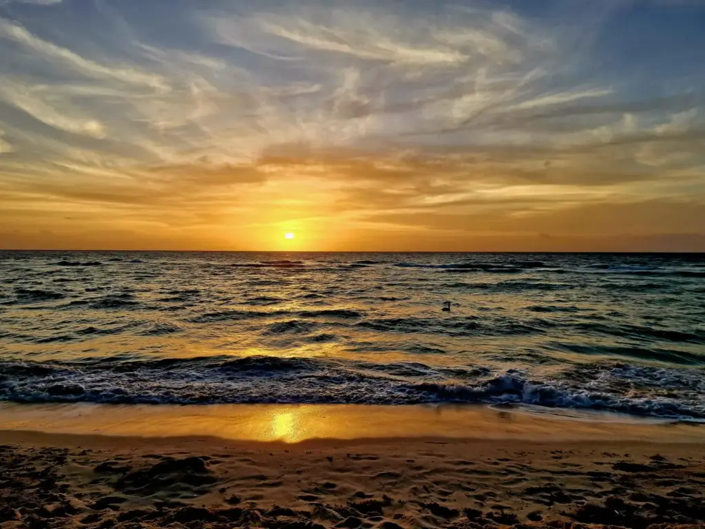 Sejur MEXIC: Vacanta exotica in Riviera Maya 24 Noiembrie - 05 Decembrie 2026