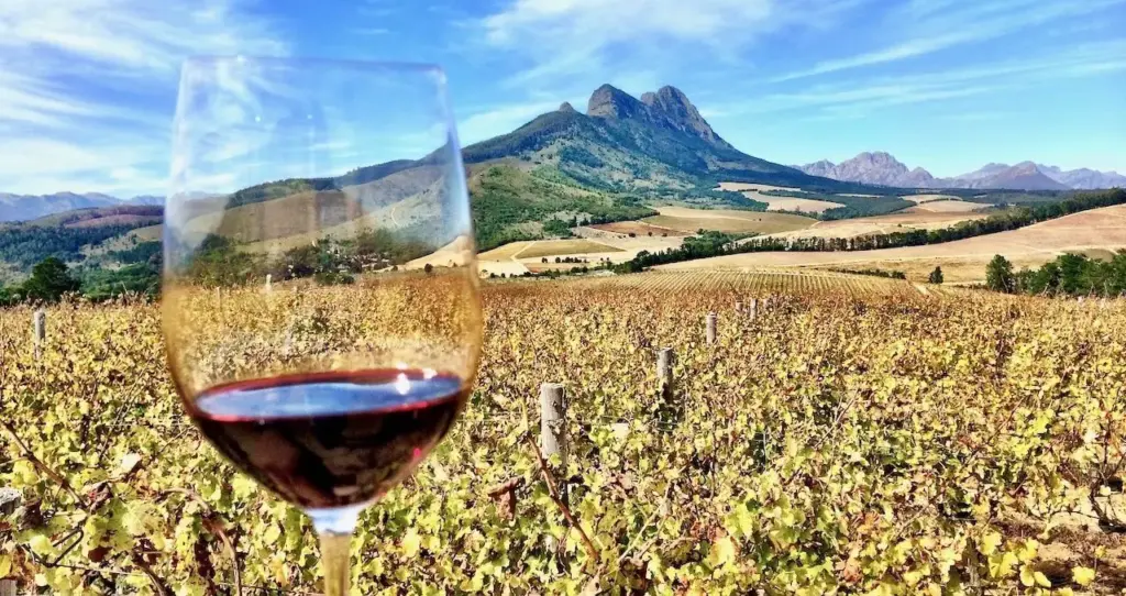 Africa de Sud sau cum încape o lume întreagă într-o singură țară