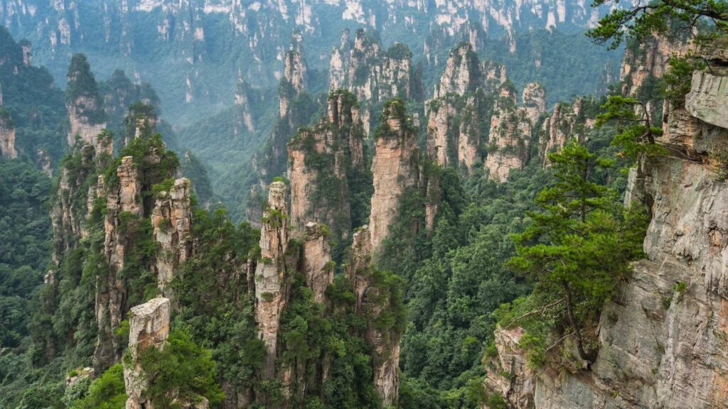 Zhangjiajie - Zhangjiajie Grand Canyon
