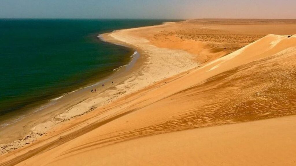 Ben Amira - Banc d'Arguin (Arkeiss)
