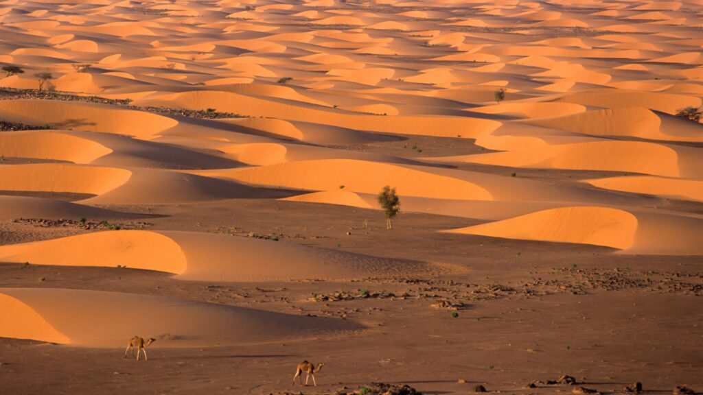 Circuit Mauritania: Pe urmele caravanelor, intre Sahara si Atlantic