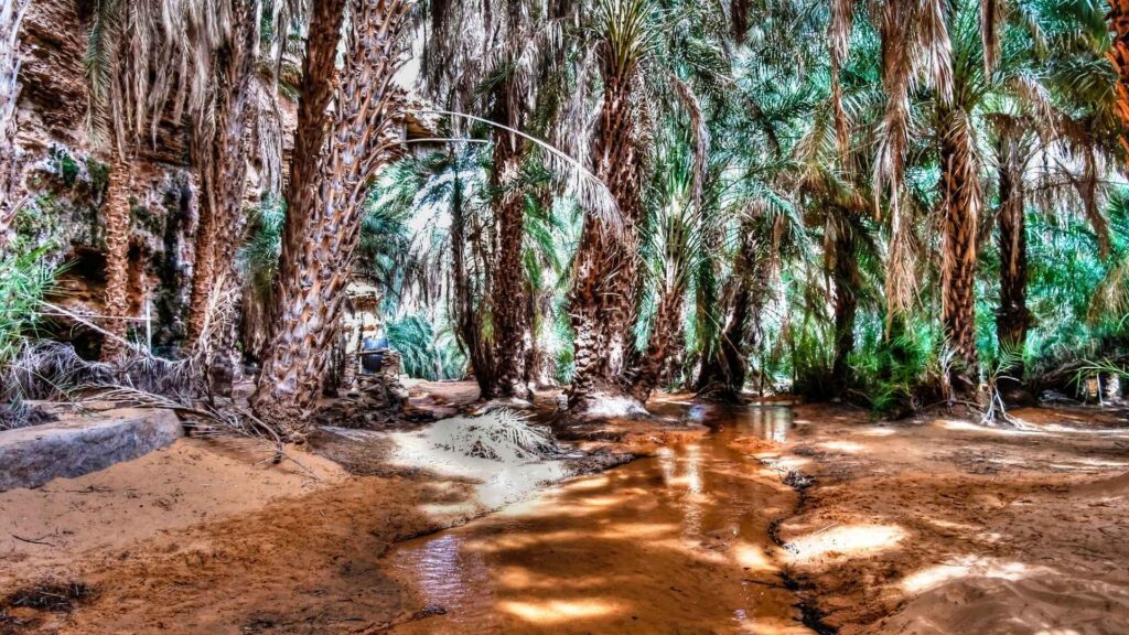 Circuit Mauritania: Pe urmele caravanelor, intre Sahara si Atlantic