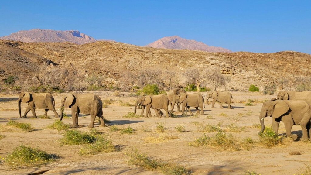 Swakopmund - Damaraland