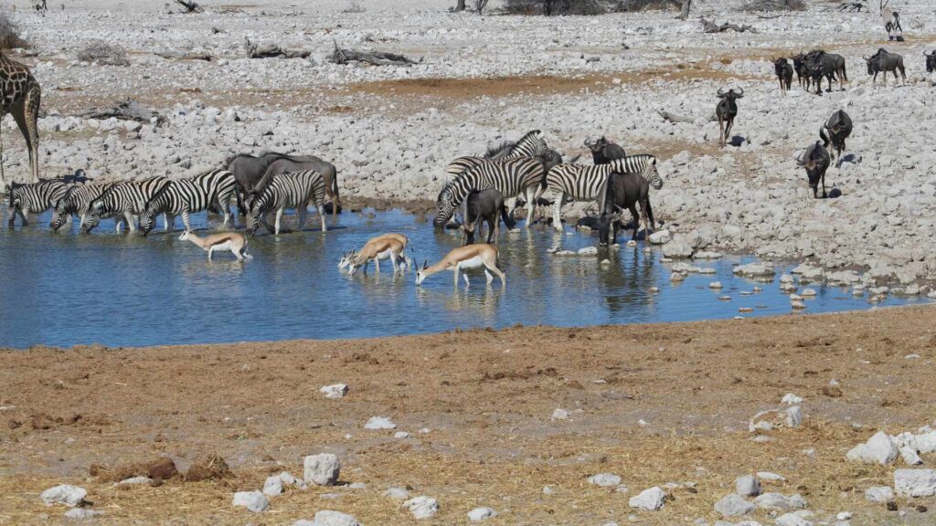 Etosha National Park - Namutoni Camp