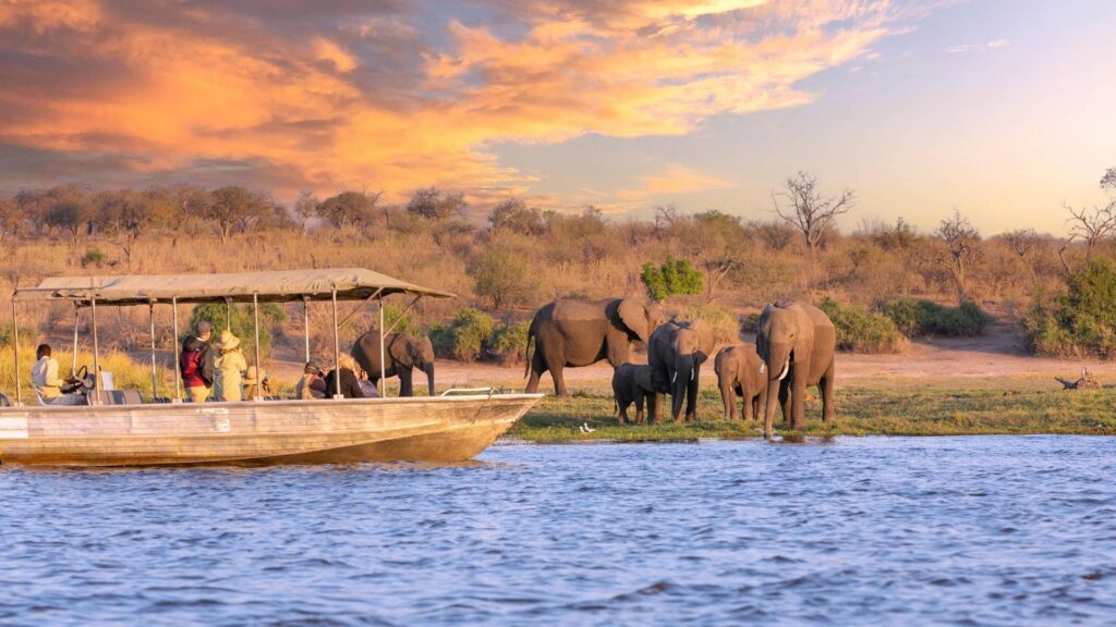 Chobe River Camp