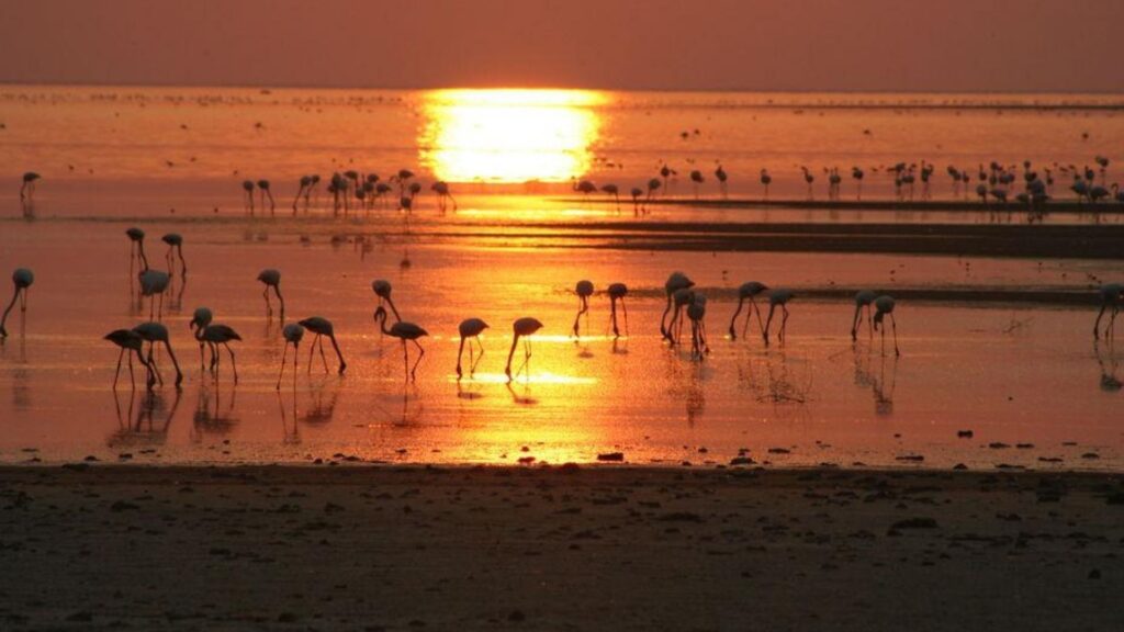Chobe River Camp - BOTSWANA - Nata