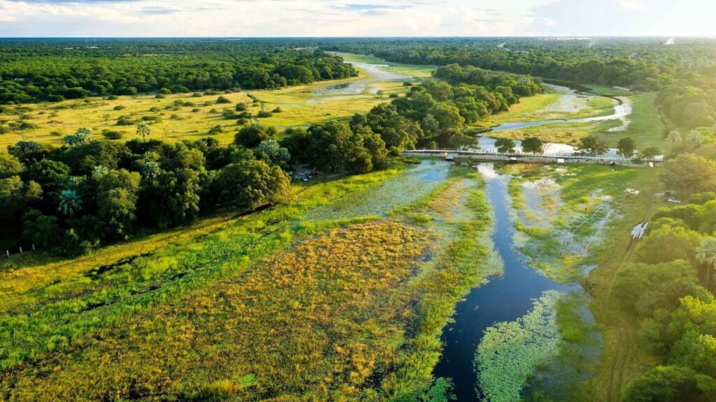 Nata - Maun