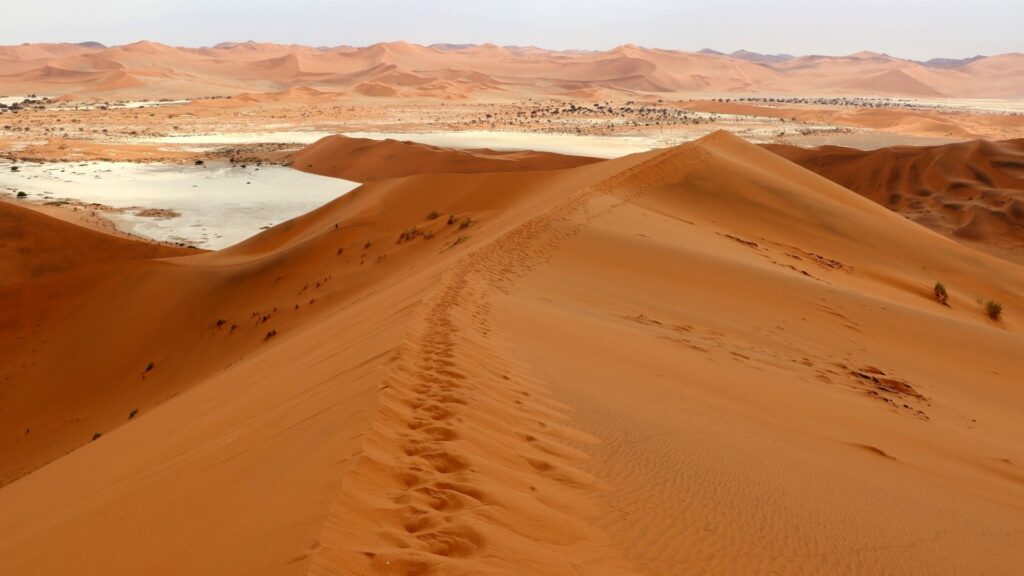 Circuit NAMIBIA si BOTSWANA: Aventura Africana