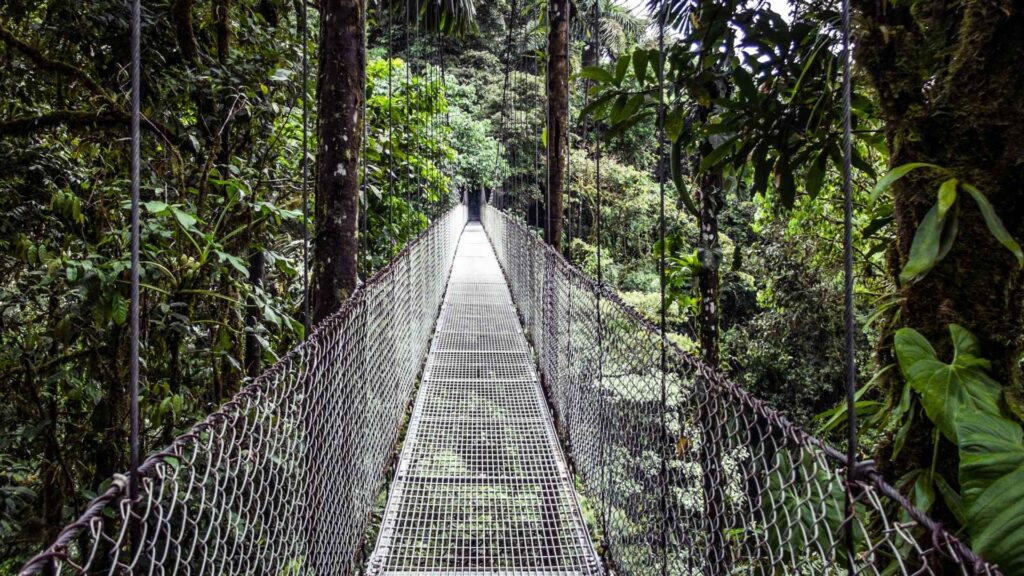 San Jose – Sarchi – Arenal Hanging Bridges – La Fortuna