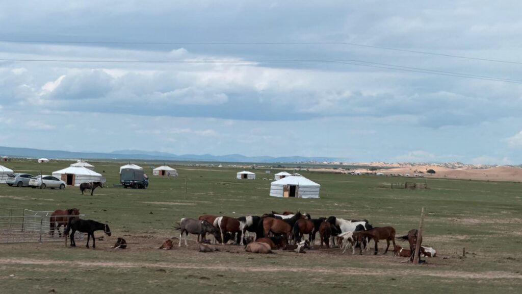 Circuit MONGOLIA: Ecoul stepelor si Festivalul Naadam