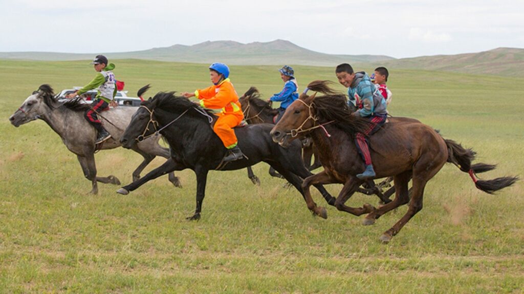 Khustai National Park - Khui Doloon Khudag - Ulaanbaatar